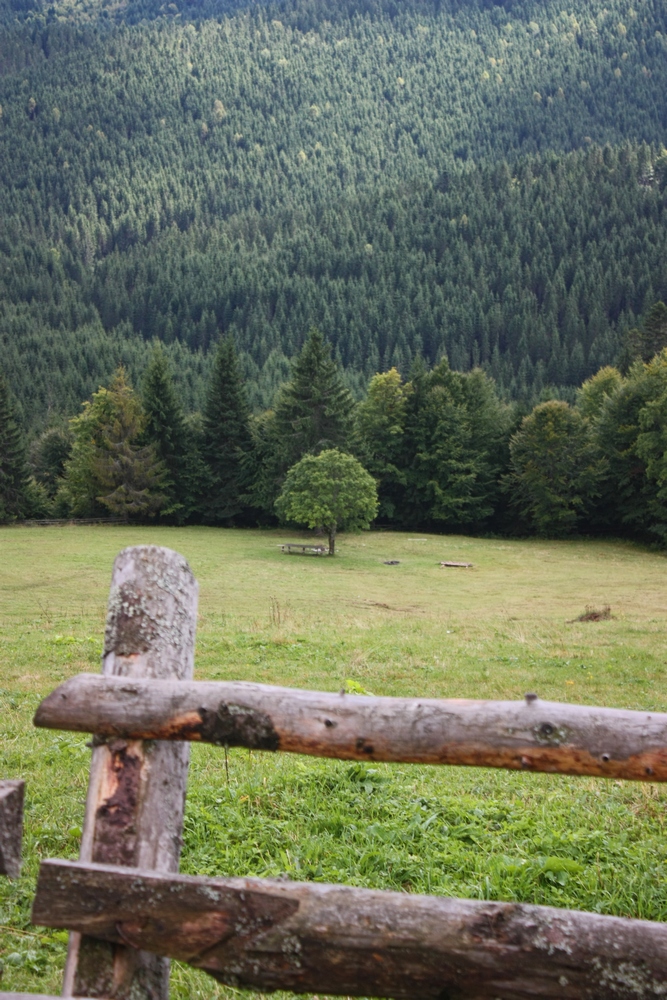 Autumn in the Carpathians