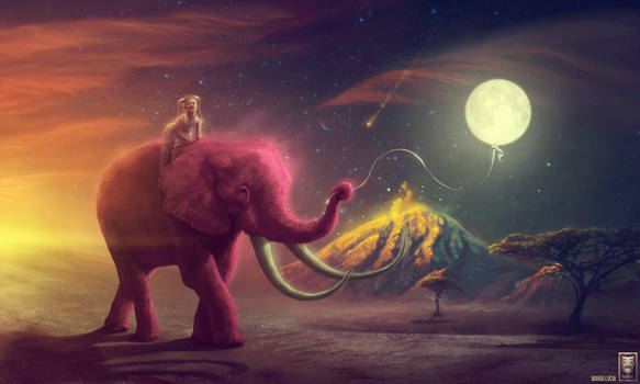Elephant traveler / My pink elephant