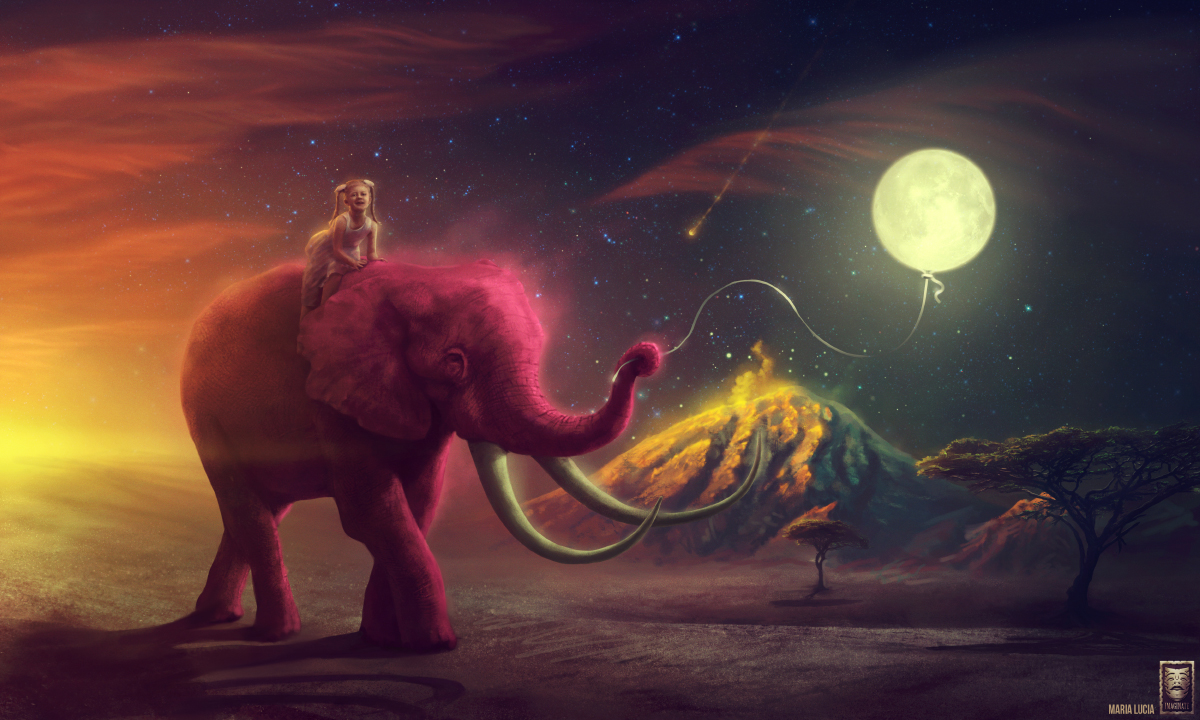 Elephant traveler / My pink elephant