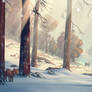 Winter forest