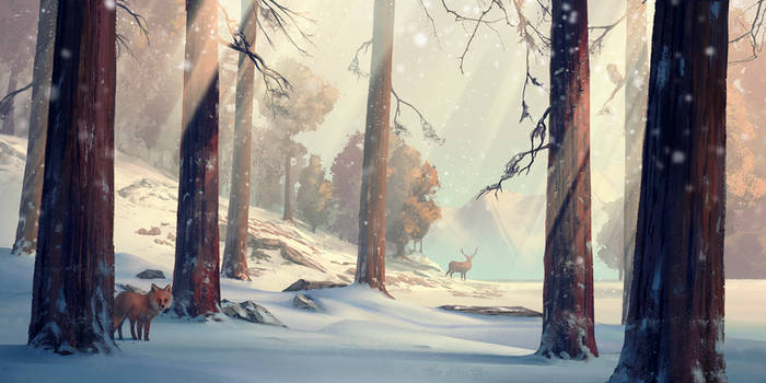 Winter forest