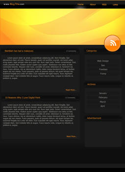 Wordpress Theme