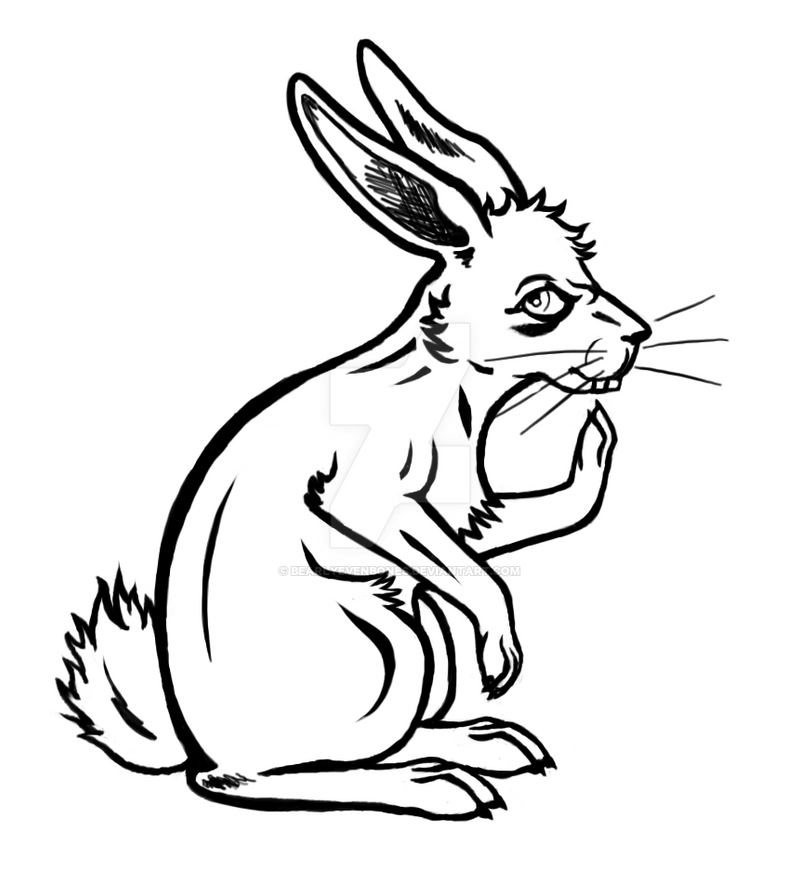 white rabbit tattoo design by bearlyevenbones on DeviantArt