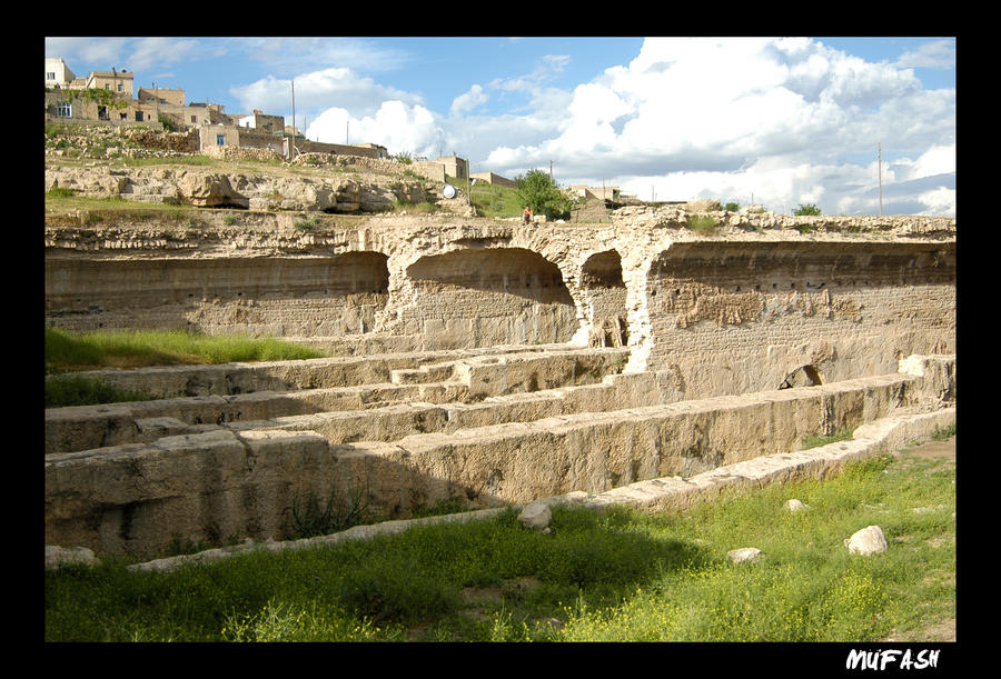 MARDIN 8