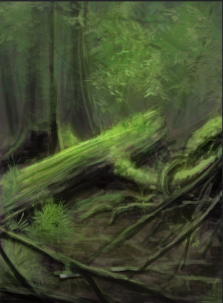 quick and messy forest study by CarterDoody on DeviantArt