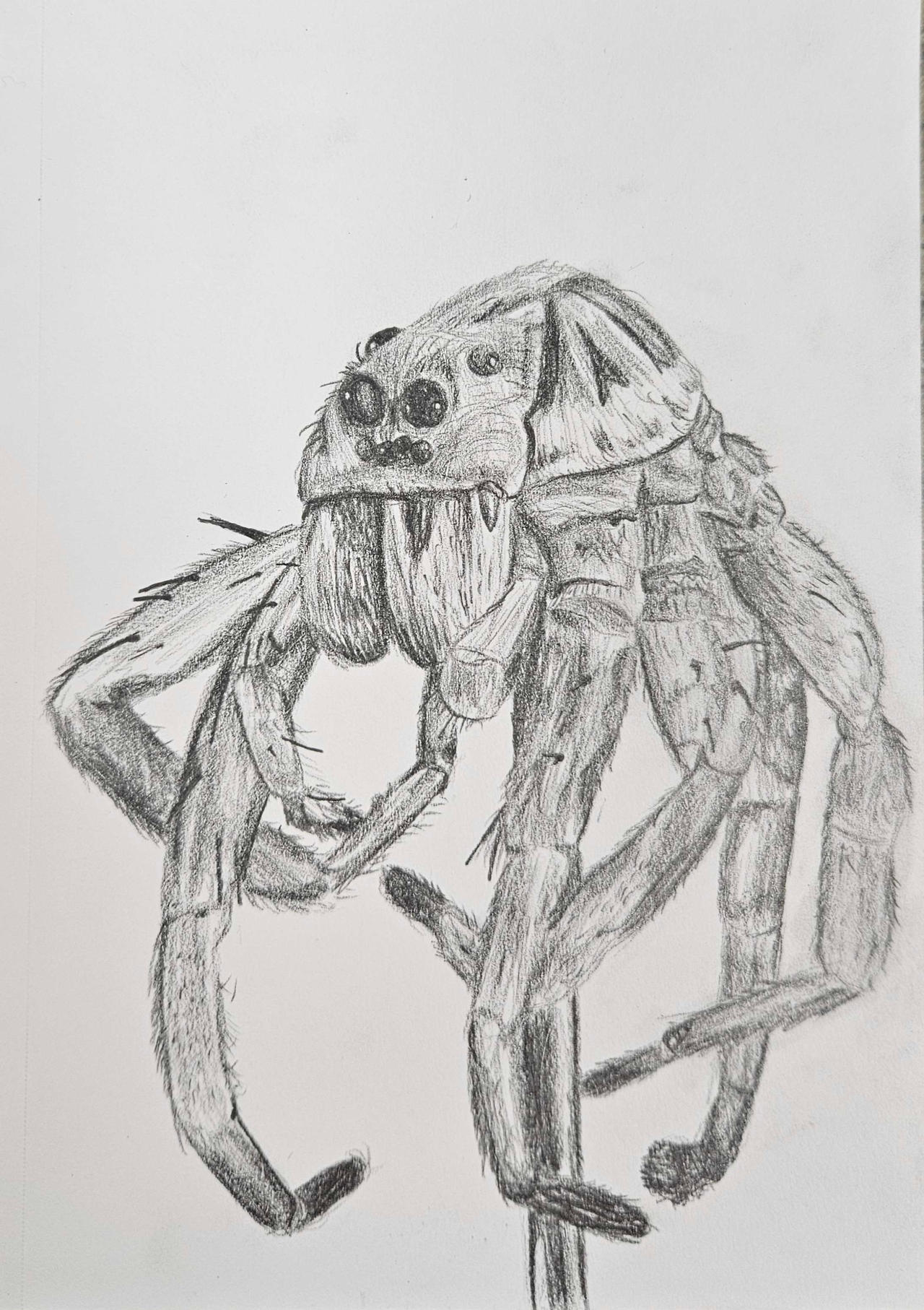 Deviantart Spider Spider by TorridTalon on DeviantArt