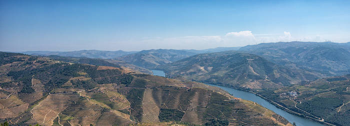 Douro River Viewpoint