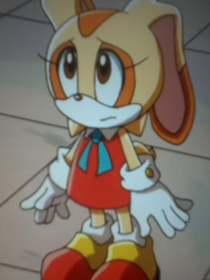 Cream the Rabbit by OhYeahCartoonsFan-2 on DeviantArt