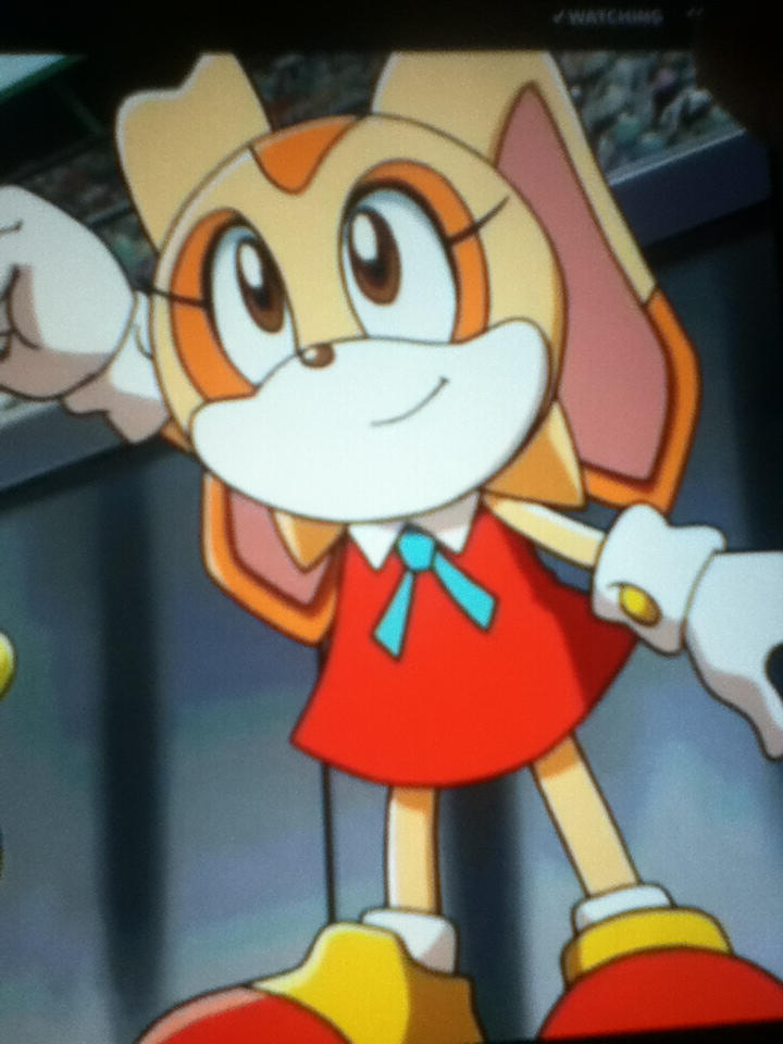 Cream the Rabbit by OhYeahCartoonsFan-2 on DeviantArt