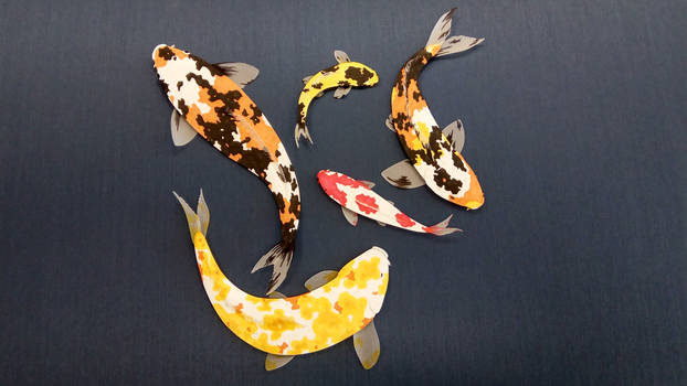 Koi fish part 4