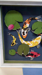 Koi fish part 5 complete! Close up