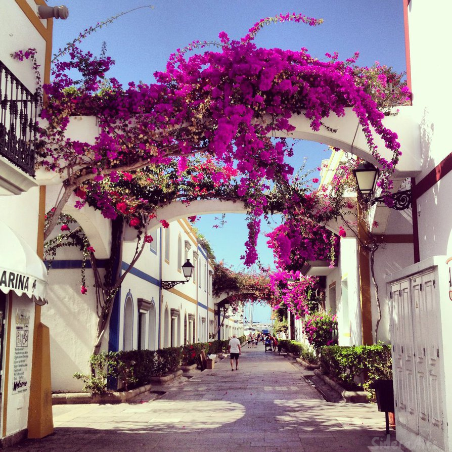 Rural Canaria