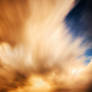 Wings of a Phoenix