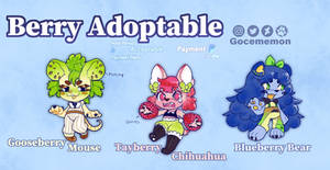 OPEN 1 Pack Berry Girls Adoptable by Gocememon