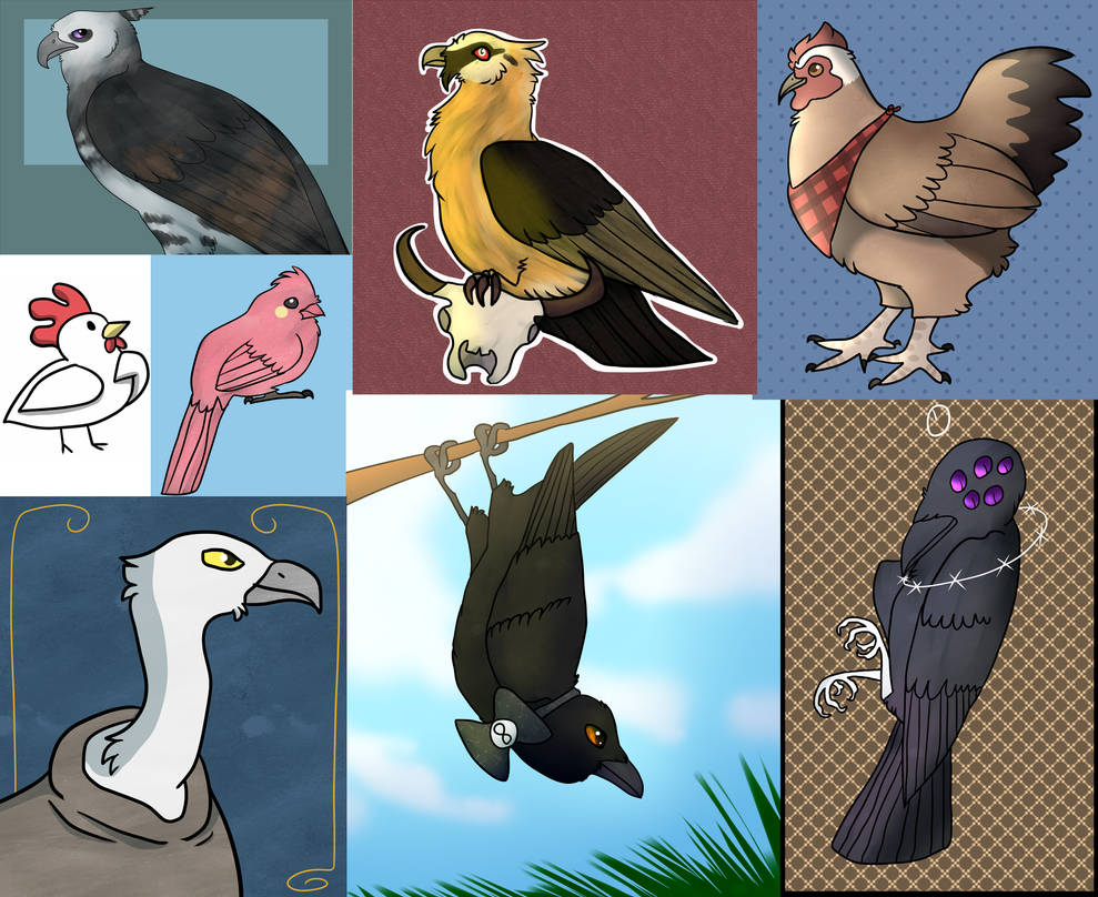 Birds Deviantart Birds by BlaideBlack on DeviantArt