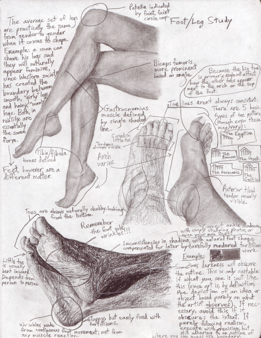 Feet / Legs Study