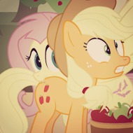 fluttershy eat apples.