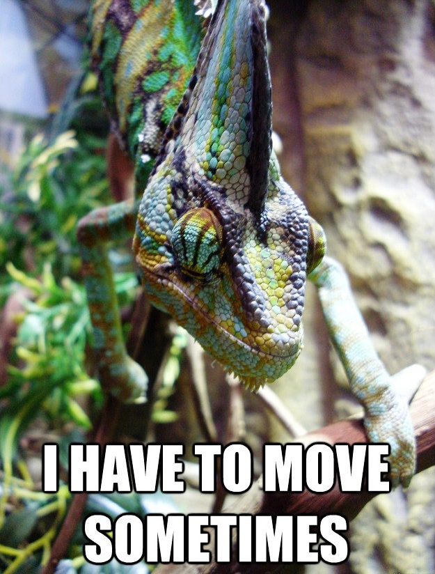 Chameleon Problems