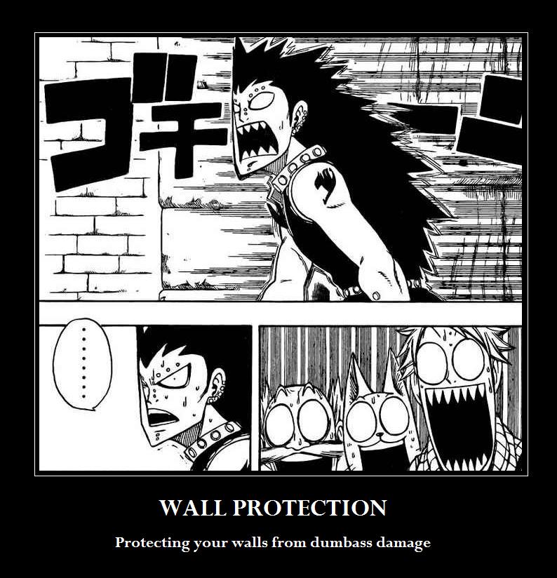 T : Fairy Tail 9 Walls