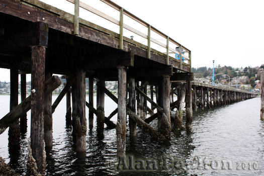 Under the Pier