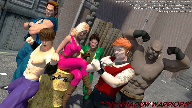 The Shadow Warriors (DD1) 