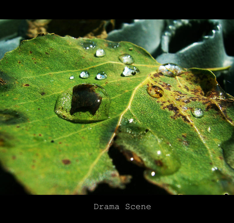 Dramatic Scebe Dramatic Scene by Sarcasme007 on DeviantArt