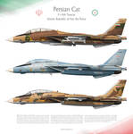 F-14A Tomcat IRIAF -Persian Cat- by 0viking0