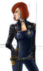 FemShep (WIP) 2