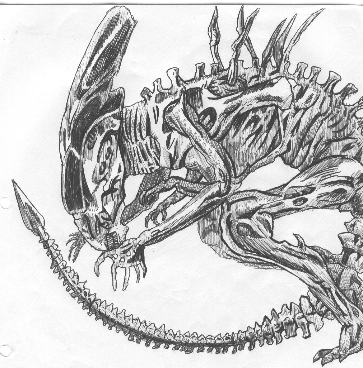 Xenomorph