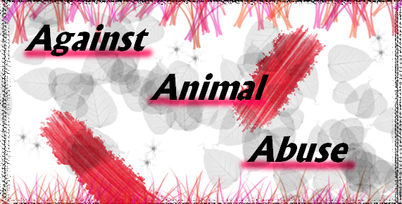 Against Animal Abuse