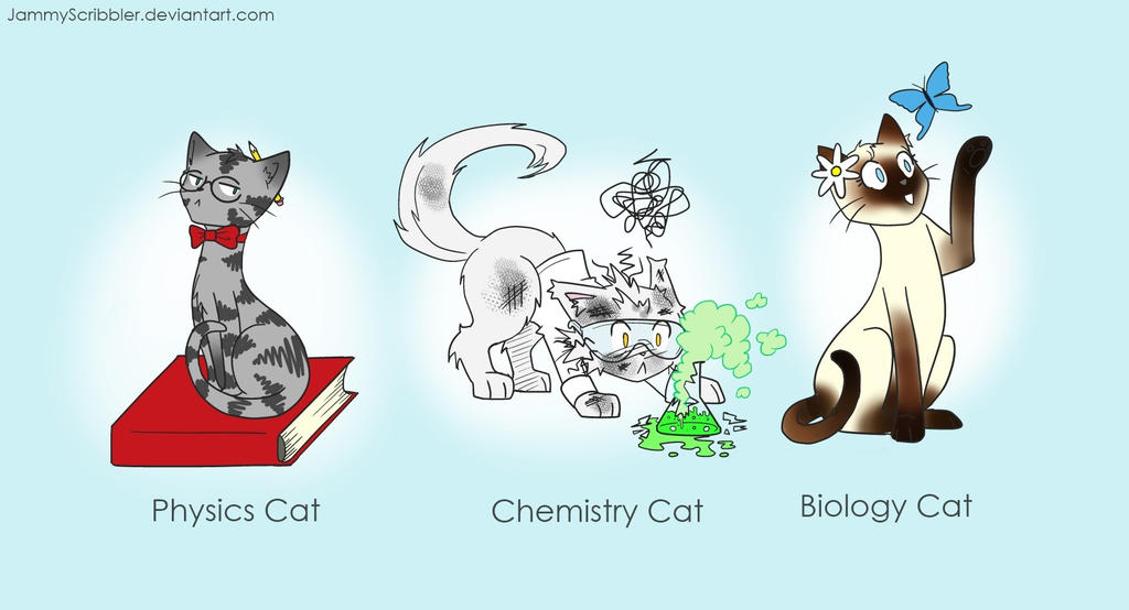 Science cats by JammyScribbler on DeviantArt