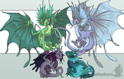 Fae Dragons