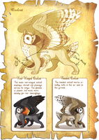 Flight Rising Bestiary: Owlcat