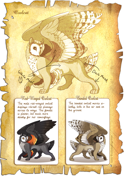 Flight Rising Bestiary: Owlcat by neondragon