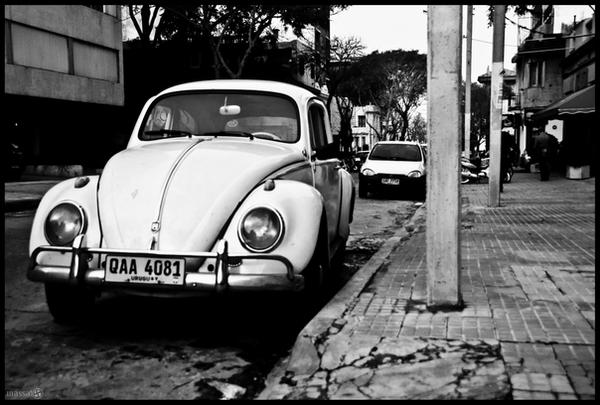 Fusca