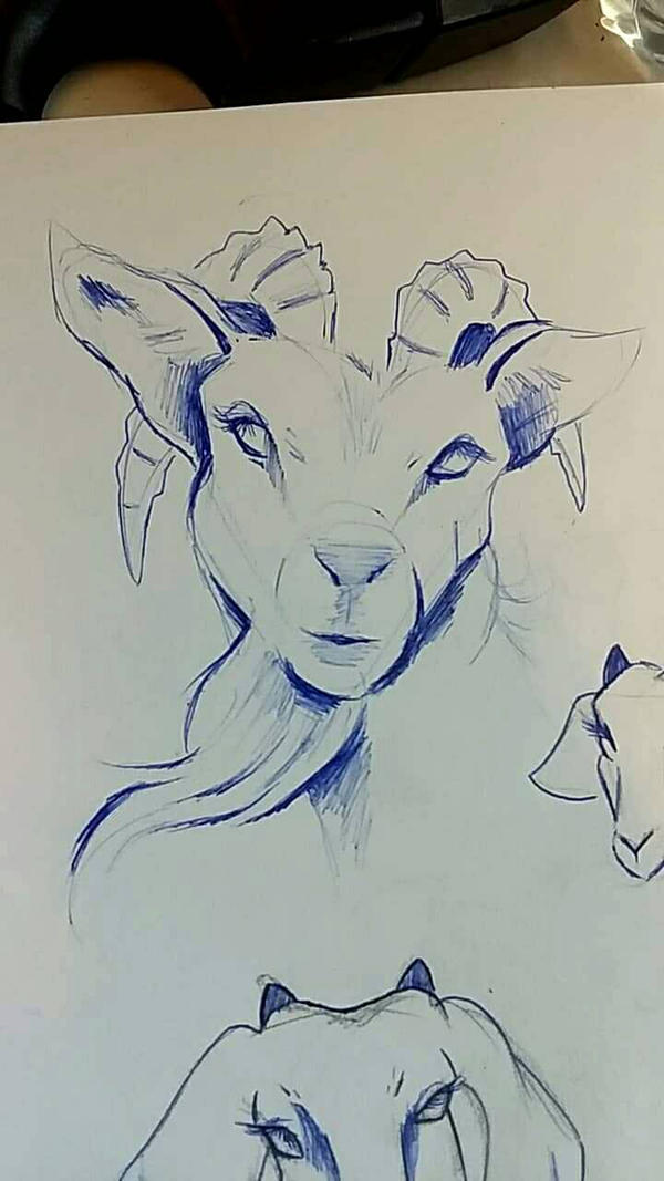 Goat Practice by Cherrys-Art on DeviantArt