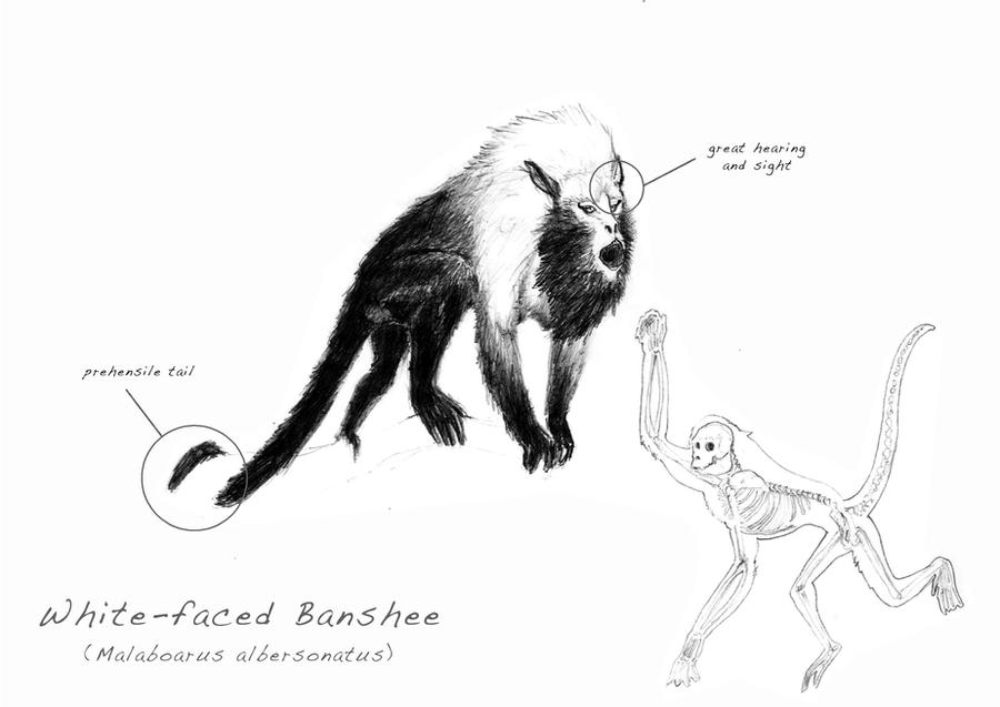 Banshee Types Banshee by AptGun on DeviantArt