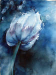 hues in blues by anuja1610