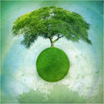 mother earth by novembro