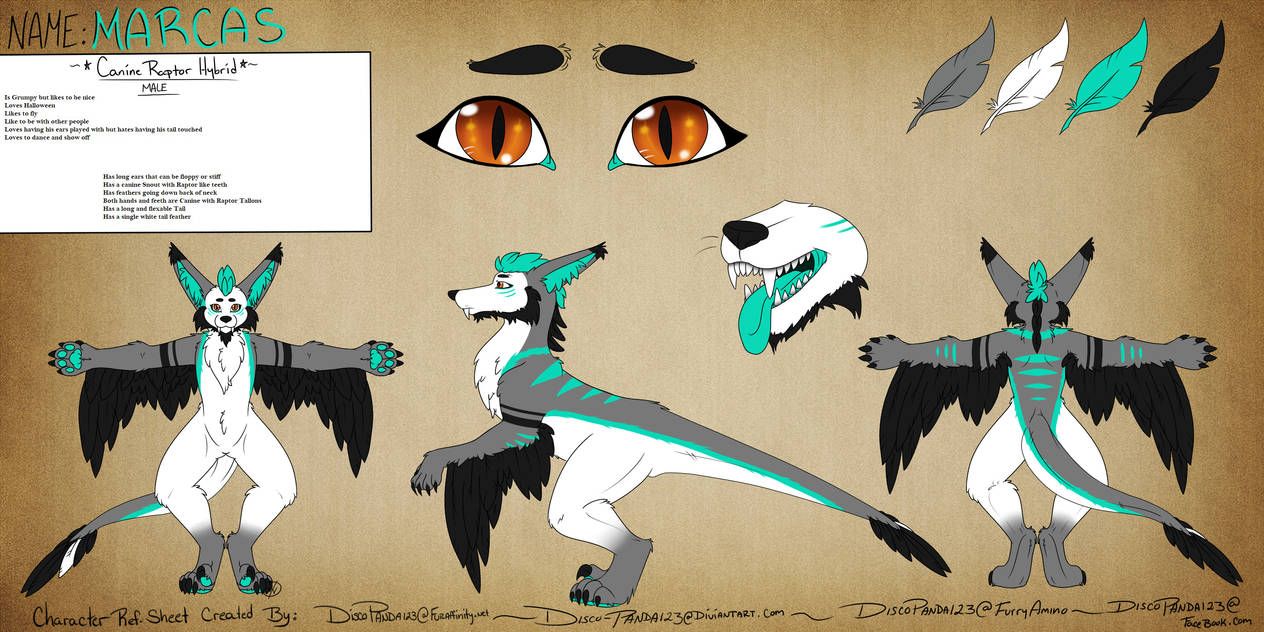 Raptor hybrid Ref Sheet by Disco-Panda123 on DeviantArt