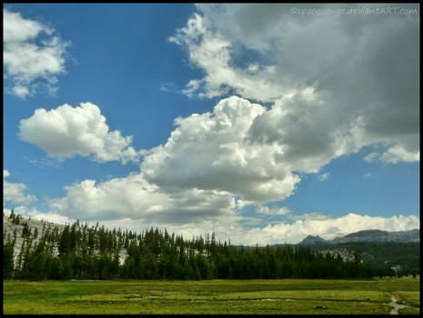 Pretty Clouds.