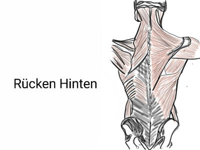 Subhuman Back Human Anatomy - Back by manik69 on DeviantArt