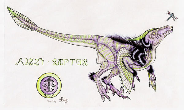 Fuzzy Raptor Fuzzy Raptor Colored by i-heart-dragons on DeviantArt