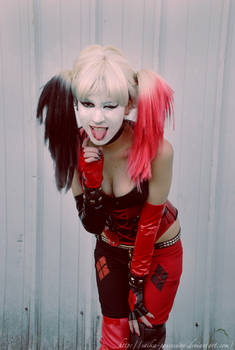 harley quinn - arkham city.