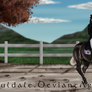 Grand Prix 3 Day Eventing - Golem in Dressage