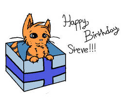 Happy birthday Steve!