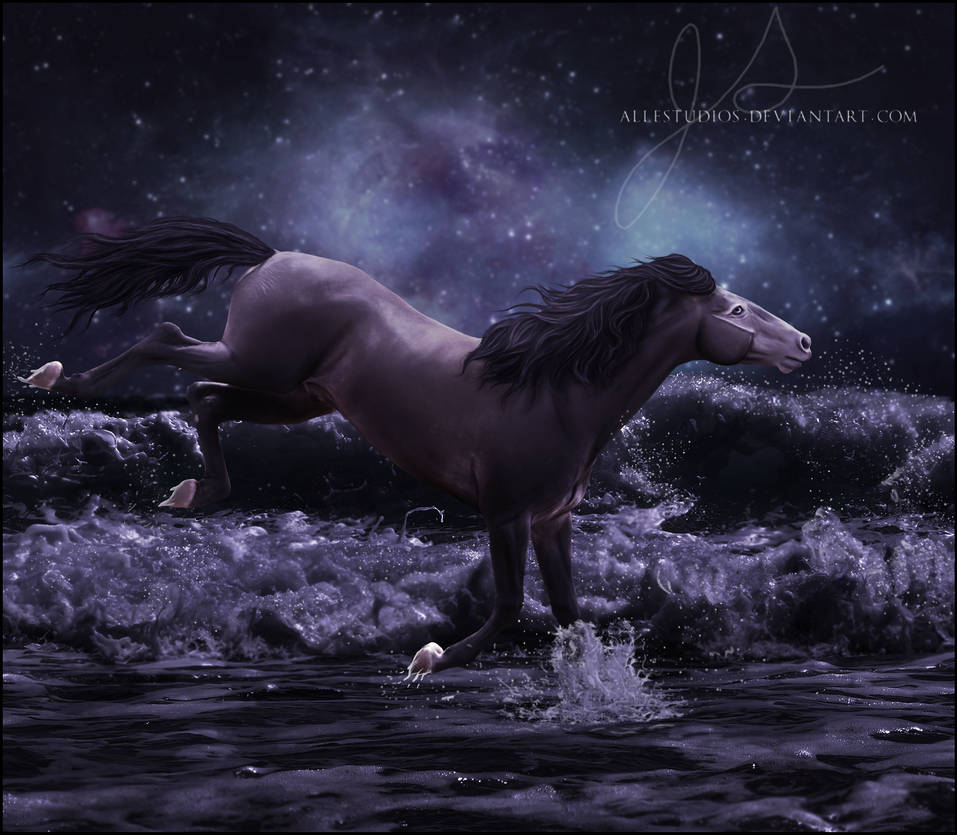 ALL THE WAY UP by allestudios