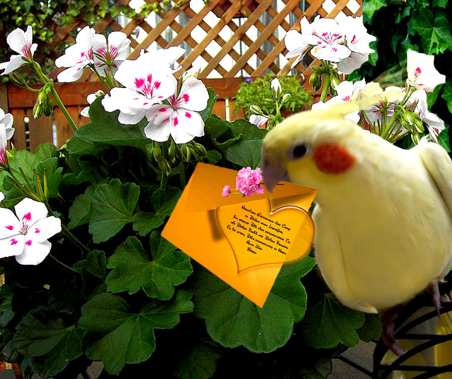 Herzlichen Gluckwunsch Foto Bild Geburtstag Gutes Wetter