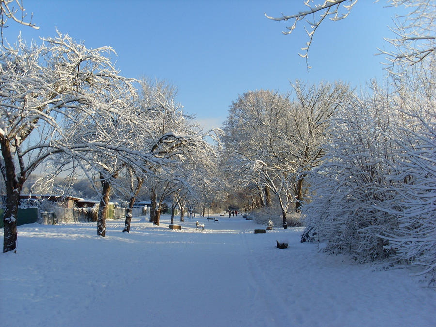 Winter im Koelner Gruenguertel by rembrantt