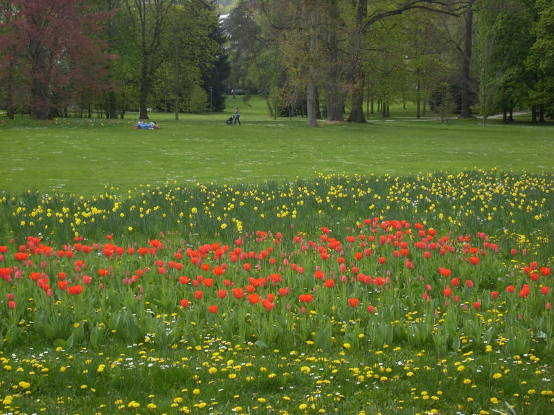 Bad Nauheim Fruehling 2014 - 01